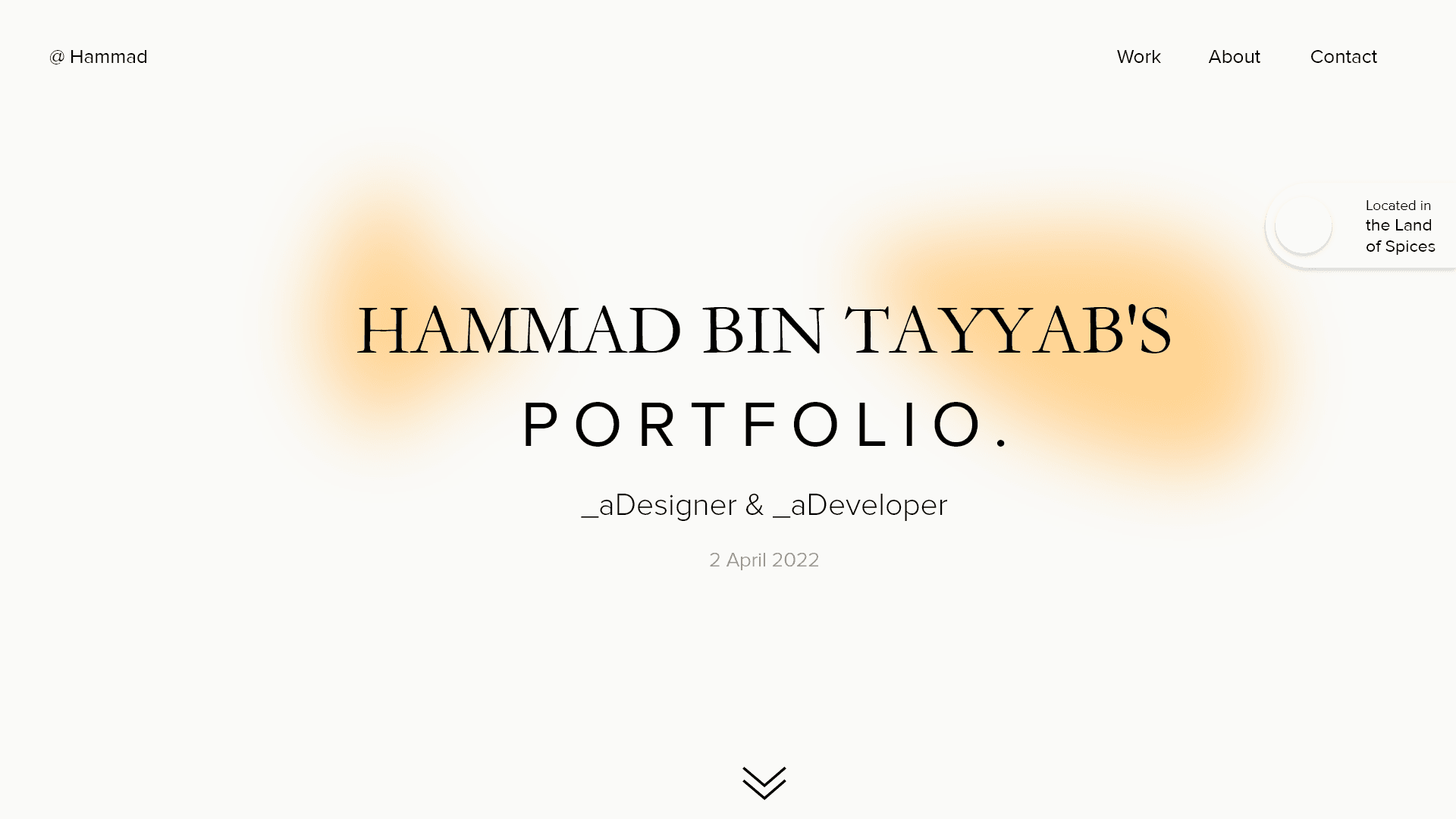 The Portfolio